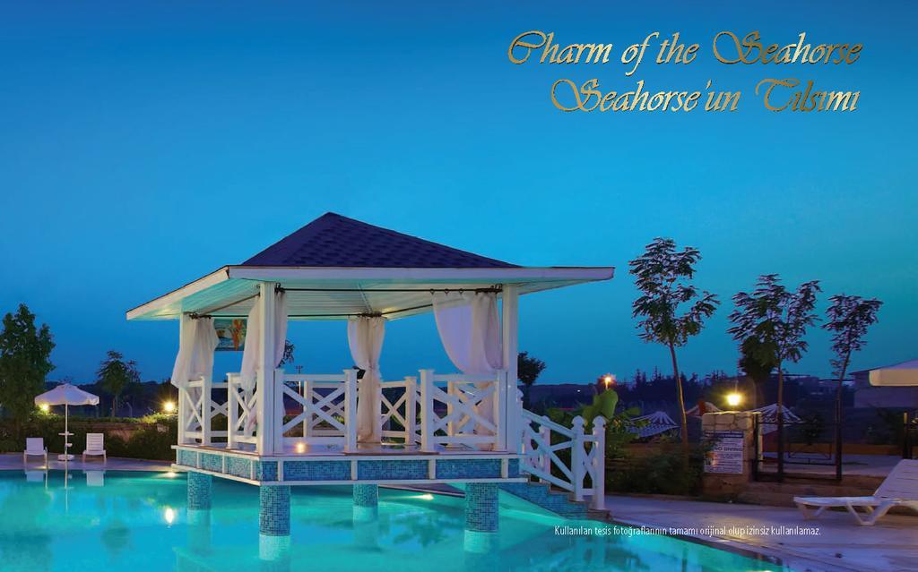 Seahorse Deluxe Hotel Ντιντίμ Εξωτερικό φωτογραφία